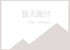 大庆红岗藏心采矿有限公司